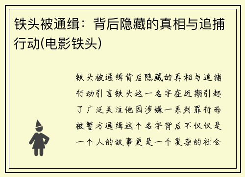 铁头被通缉：背后隐藏的真相与追捕行动(电影铁头)