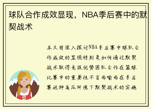 球队合作成效显现，NBA季后赛中的默契战术
