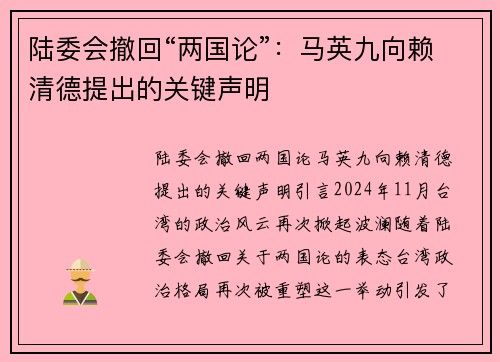 陆委会撤回“两国论”：马英九向赖清德提出的关键声明